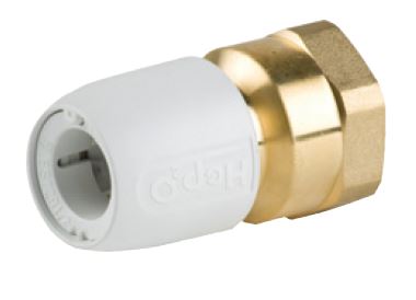 Hep2O messinki naaras Adapt 28X 1  