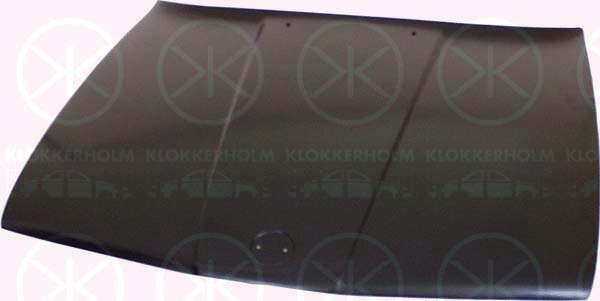 Moottoripelti