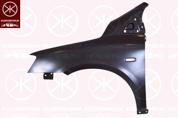 Lokasuoja Fiat