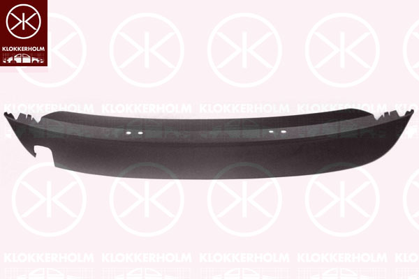 Takaspoileri