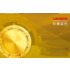 X-431 EURO Gold 1 vuoden lisenssi